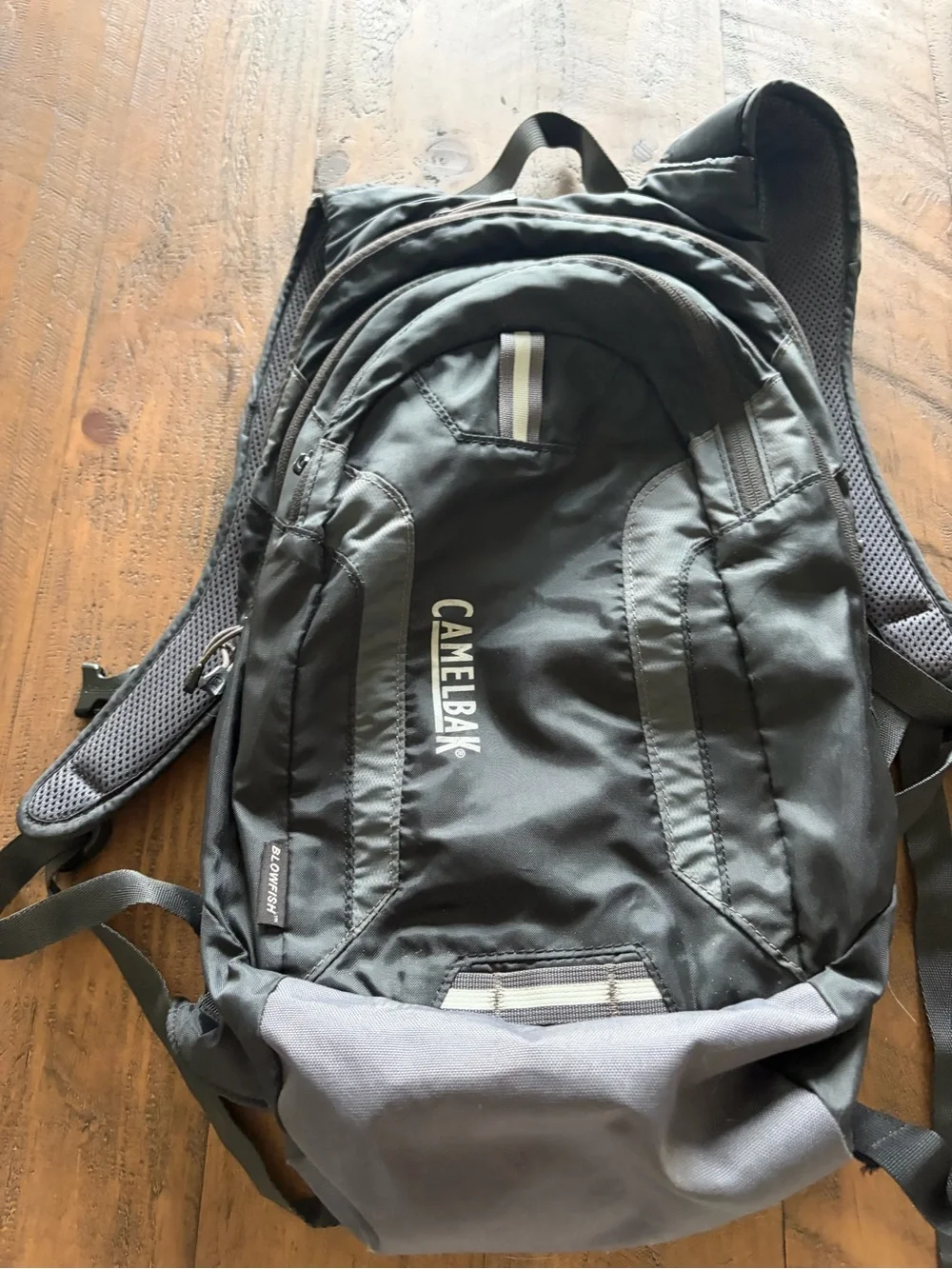 CamelBak Black and Gray Hydration Backpack
